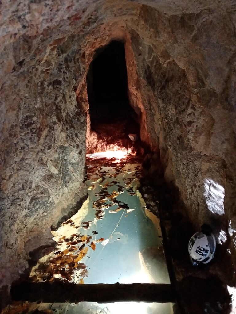 Riemersione nel ramo Melanconia